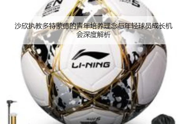 沙欣执教多特蒙德的青年培养理念与年轻球员成长机会深度解析