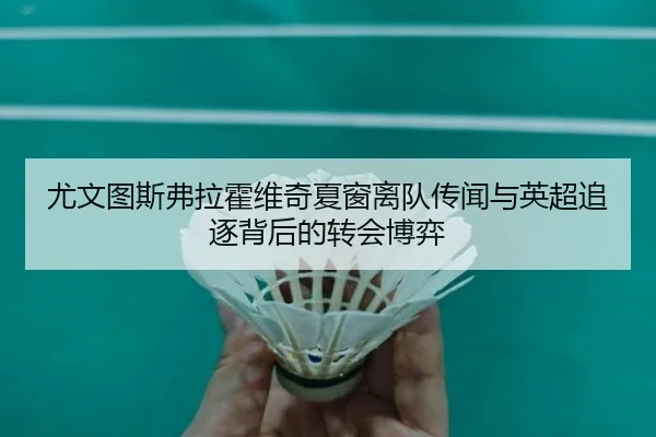 尤文图斯弗拉霍维奇夏窗离队传闻与英超追逐背后的转会博弈